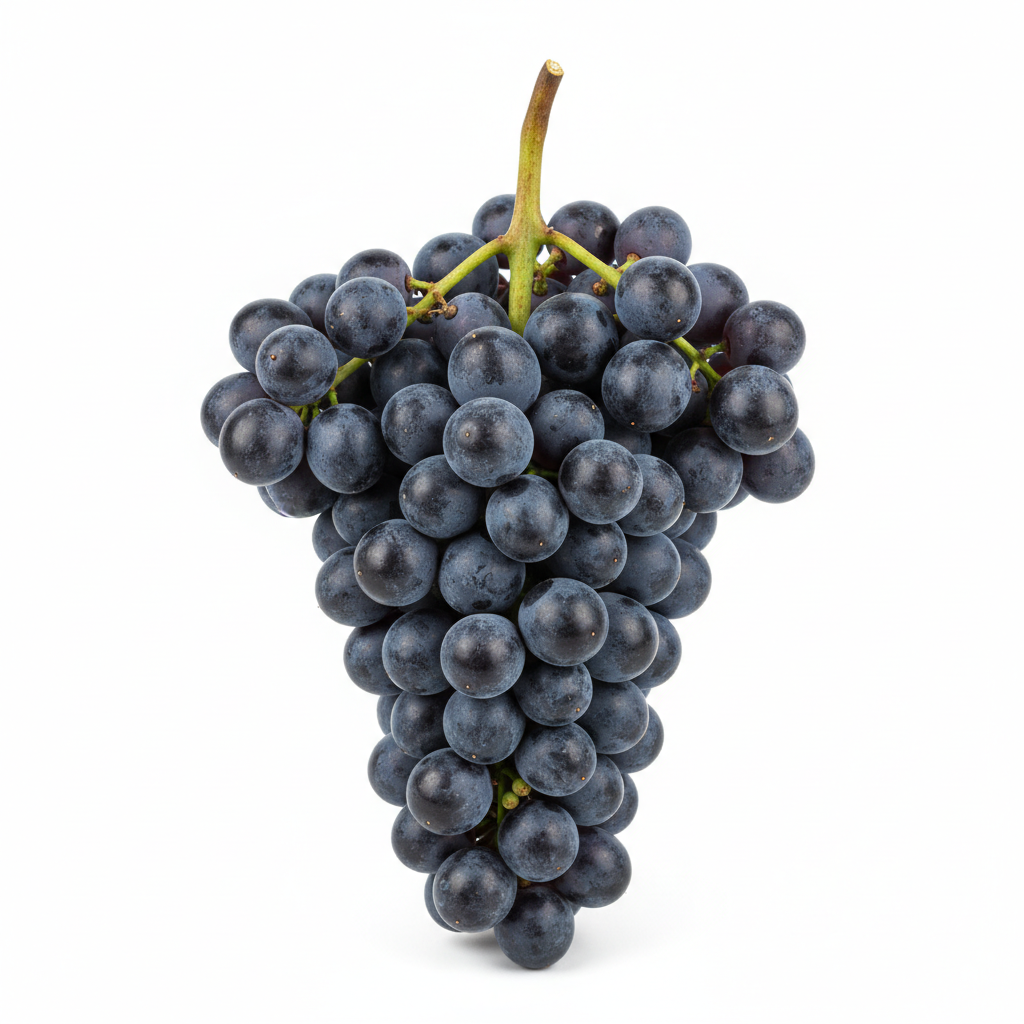 downloaded_file (21)